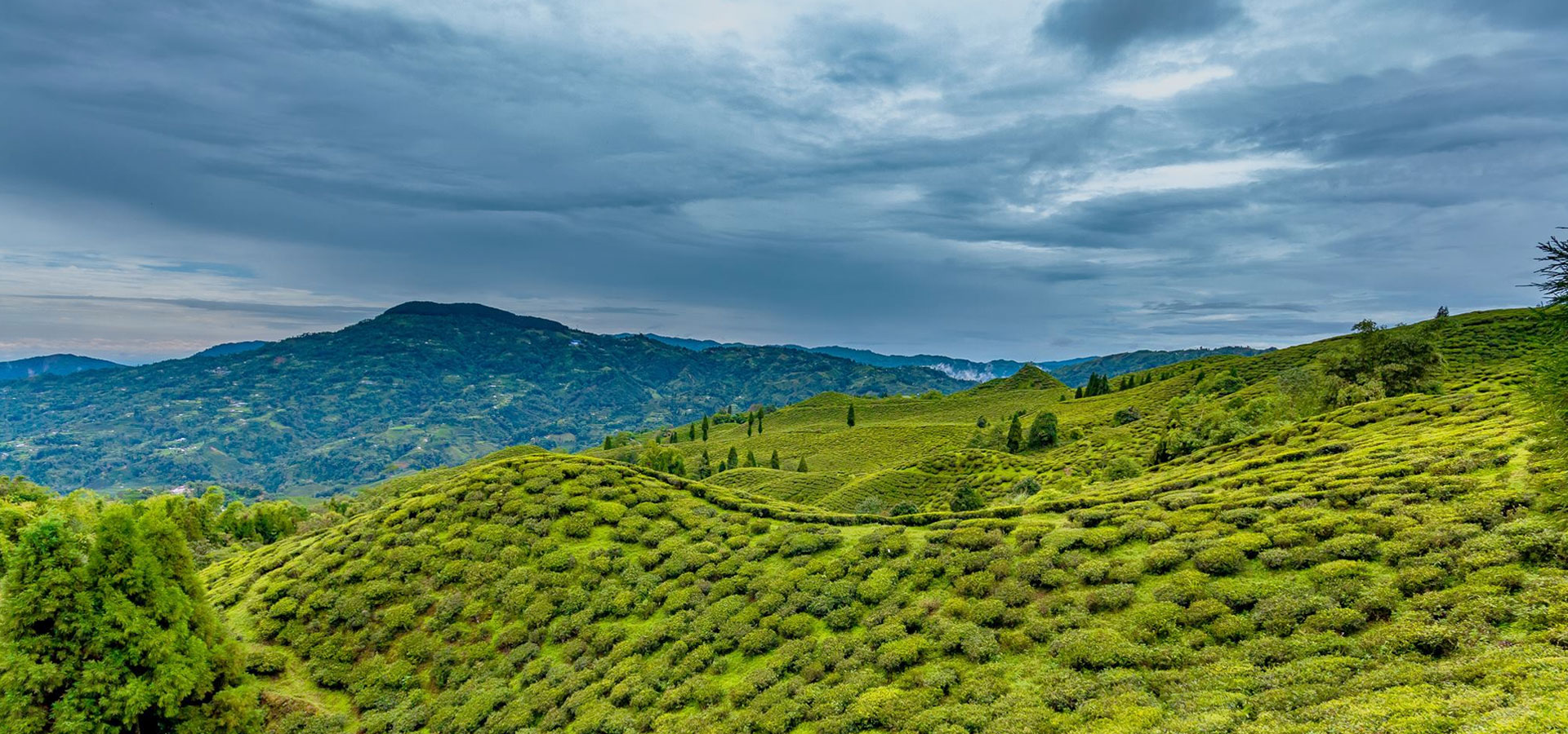 Darjeeling